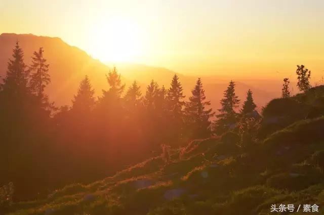 素食治好癌症,素食治愈癌症