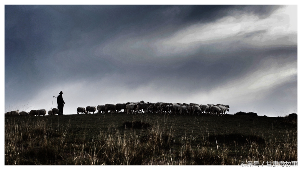 甘肃微故事,甘肃人的微故事
