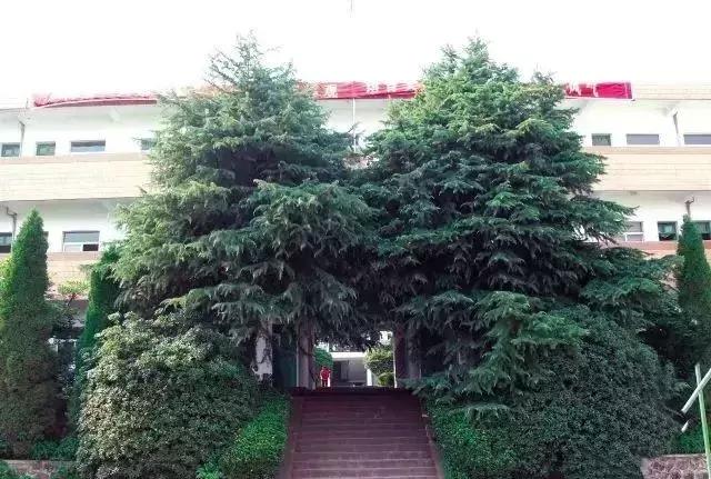 南京十大最乱中专学校,南京最大的中专学校