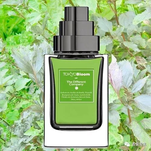 男人该如何挑选香水呢,给男生买香水品牌