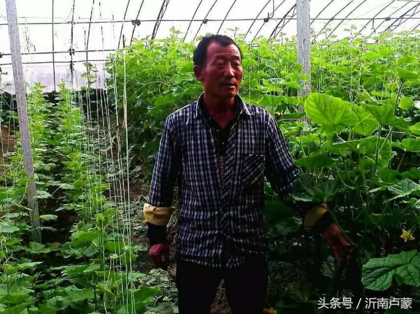 陈锋名师工作室,陈锋老师视频