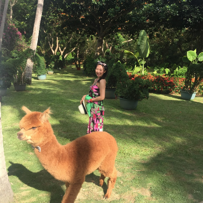 海口到三亚旅行攻略,三亚凤凰岛旅行攻略