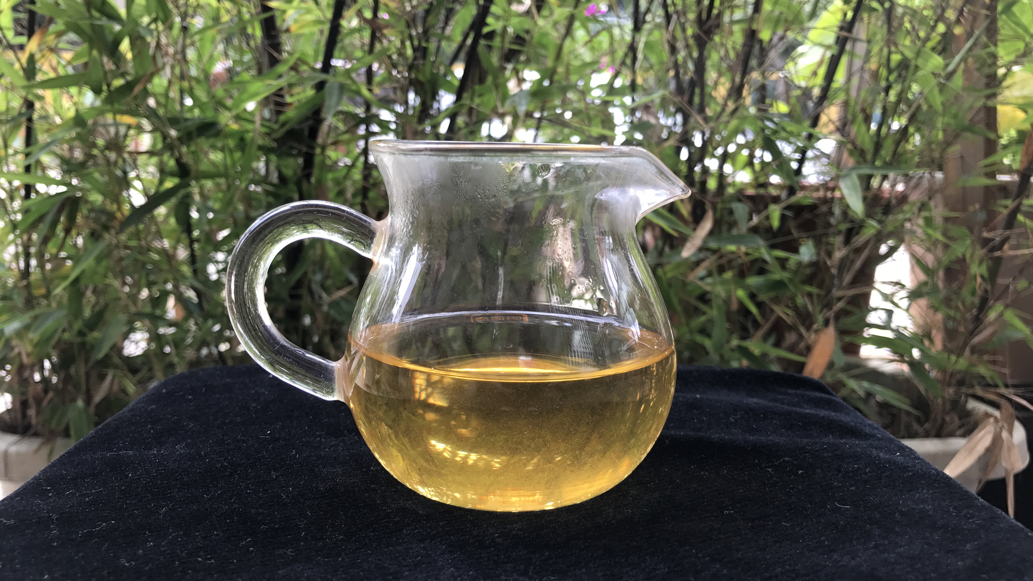 老徐鉴茶第173期,老徐鉴茶252期