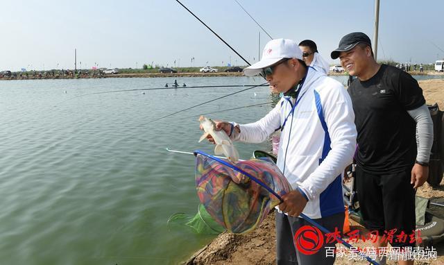 合阳洽川黄河湾,合阳钓鱼大赛