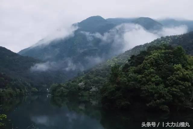 桐庐这些如诗画般高颜值精品民宿,桐庐有哪些隐藏的民宿