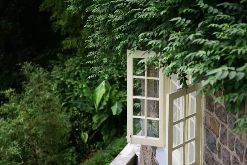 都知道莫干山民宿火，但你知道莫干山的第一家民宿是哪个吗？