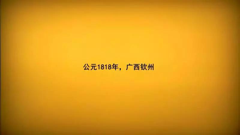 经典传奇冯子材,民族英雄冯子材完整版