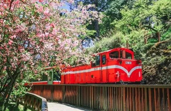 做过这30件事才叫爱旅行的人,旅行的十大重要事