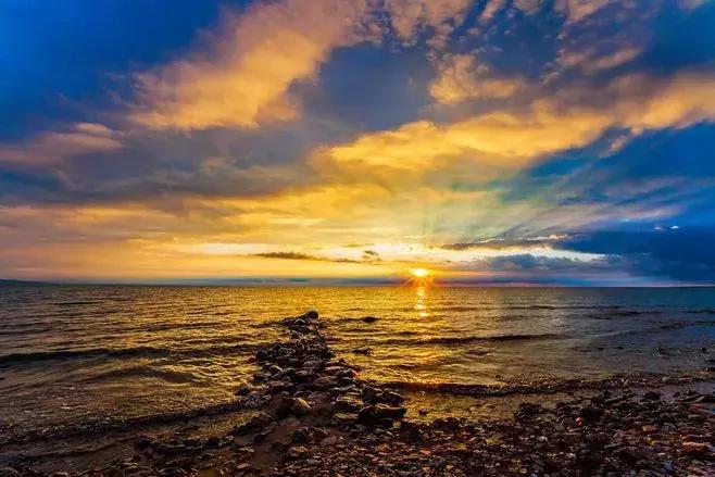 青海湖八月花海,七八月的青海湖油菜花