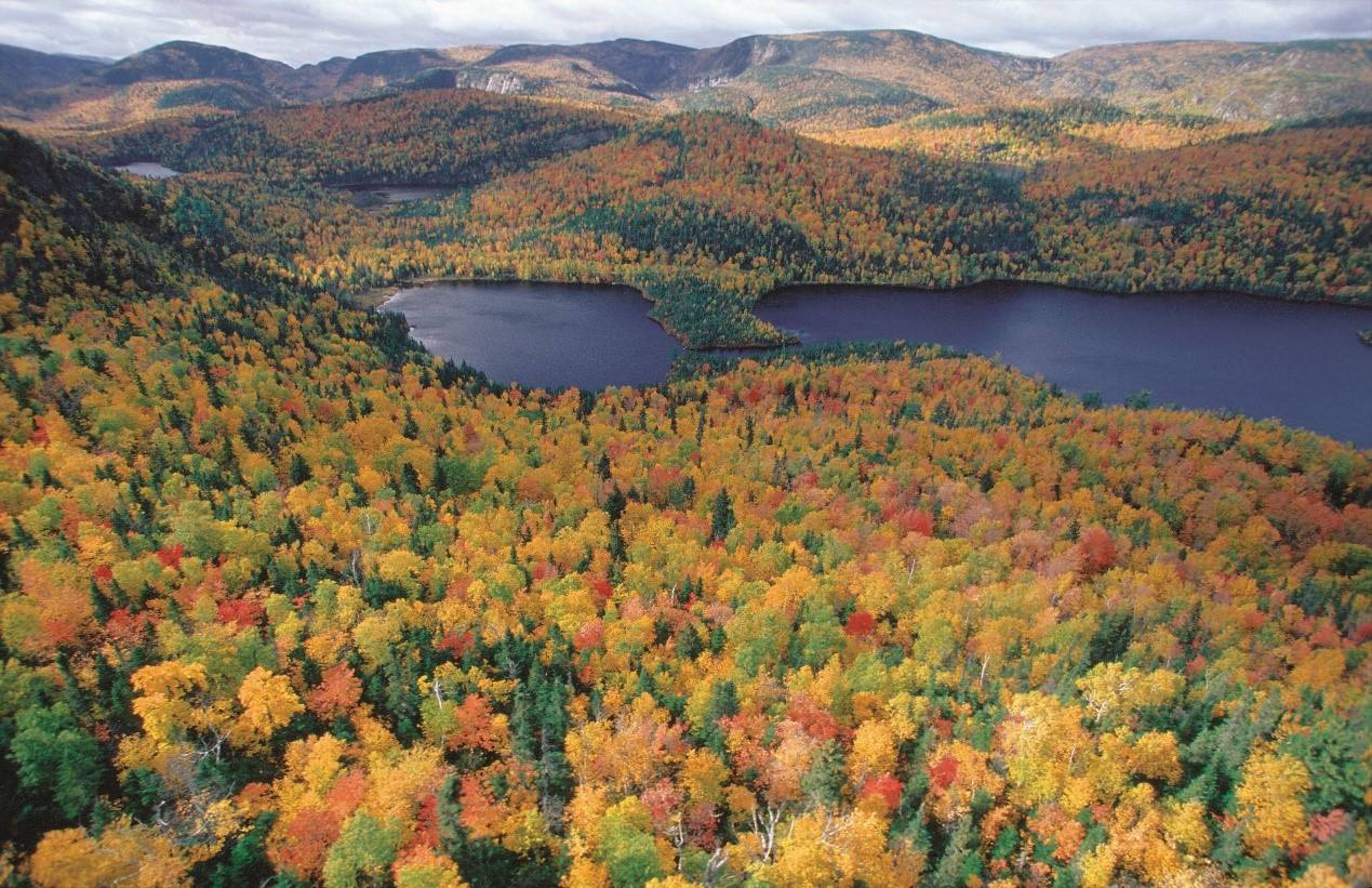 加拿大国土面积最大的哪个省,枫叶之国加拿大有多少人