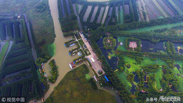 红荷湿地微山湖八月份还有荷花吗,山东微山湖红荷湿地公园荷花