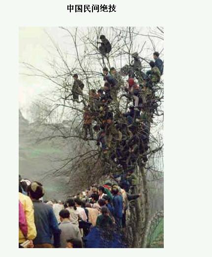 一位教授给孩子批改作业,一个老师给学生发试卷