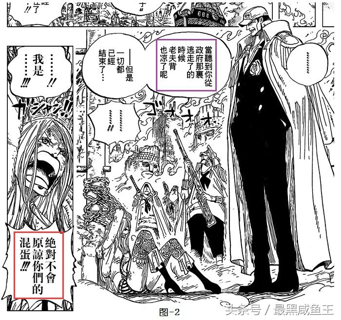 海贼王草帽团最后一人会是波尼吗,海贼王波妮能力