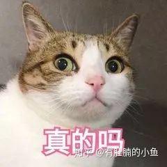 猫咪没有精神老是睡觉是怎么回事,猫咪睡觉咕咕咕的声音是怎么回事
