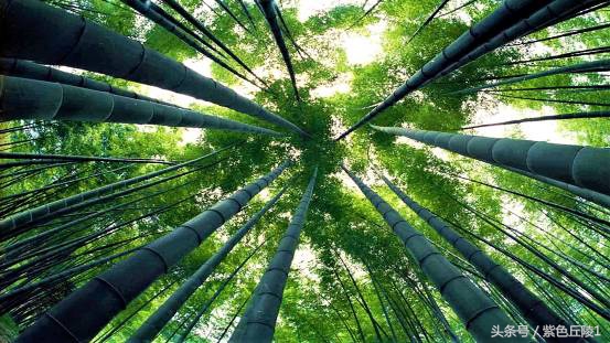 蜀南竹海避暑短租可做饭,蜀南竹海夏季游玩照片