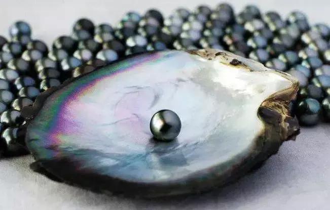 小火说翡翠,珍珠的基础问答