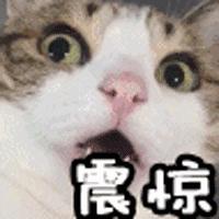 绵阳市海关,绵阳海关