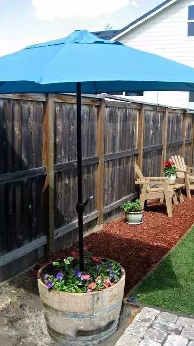 适合小庭院的盆栽,小盆栽推荐diy