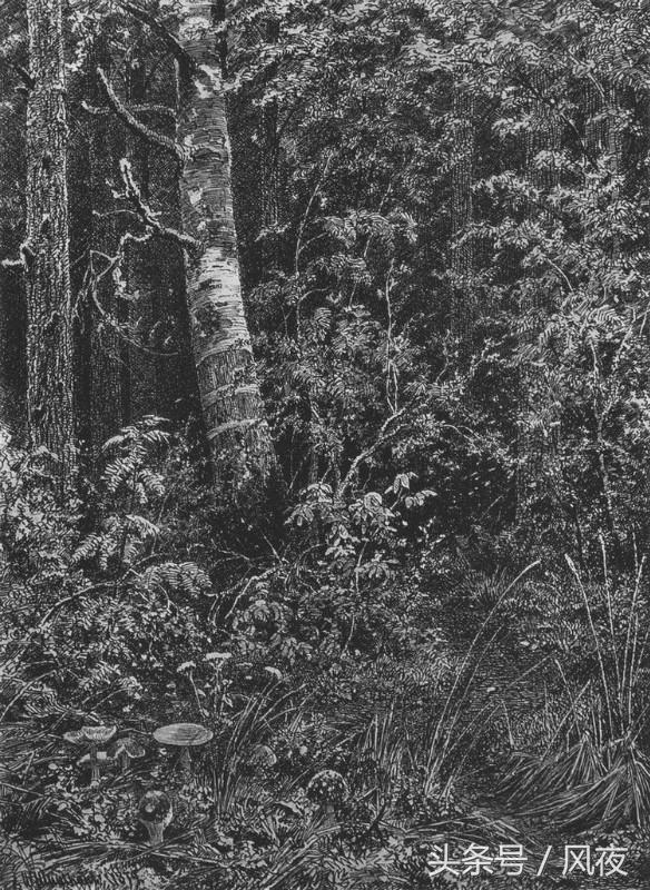 素描风景画的不好？这7个方法，让你的风景画造诣更上一层楼！