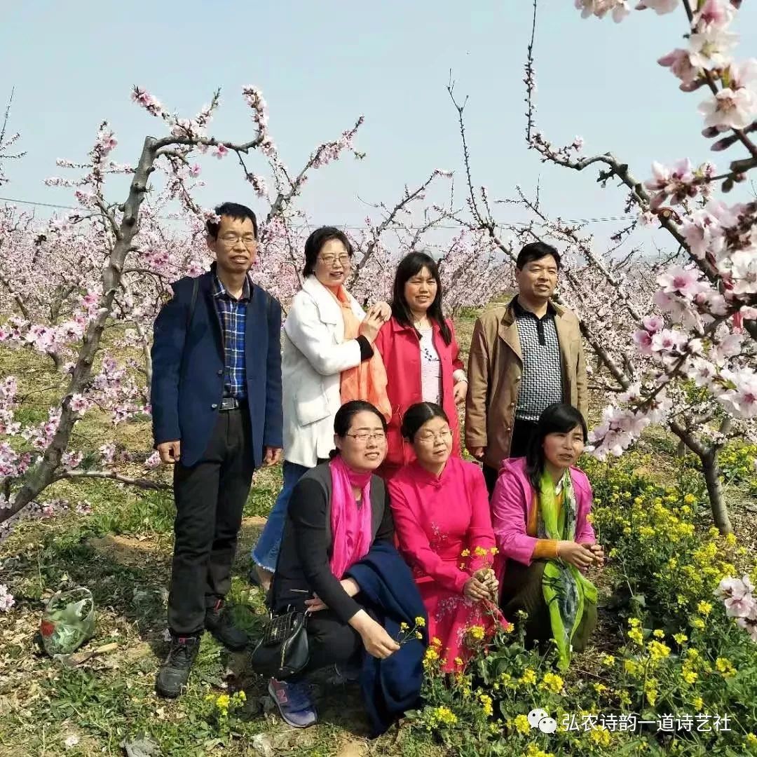 弘农诗,弘农古诗词