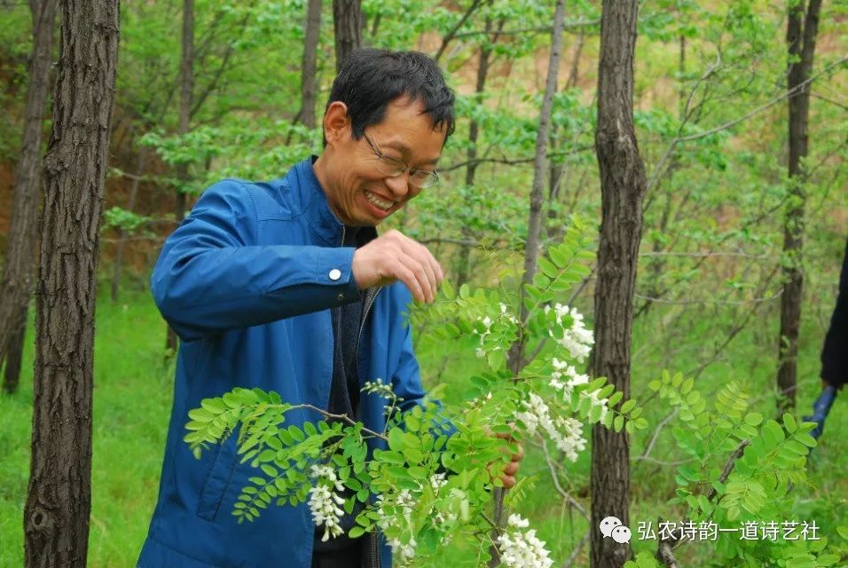 弘农诗,弘农古诗词