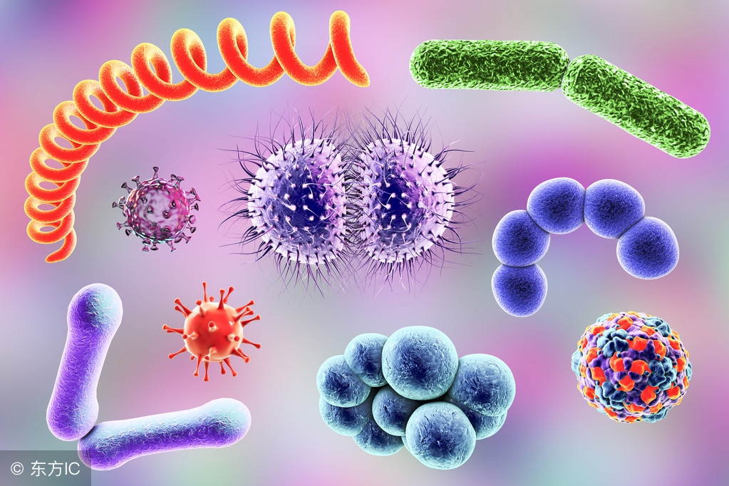 50种常用杀菌剂大全,50种常见病必备中成药