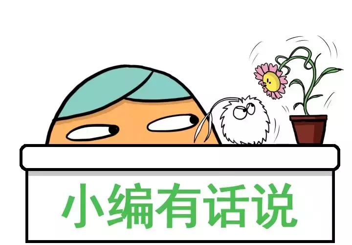 学会这四种方法让孩子想象力爆棚,试试这招