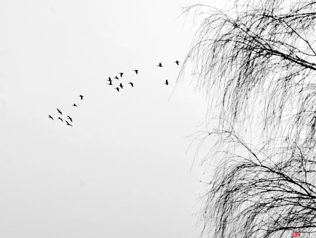 中国传统文化常识和民俗别称,中国民俗别称大全