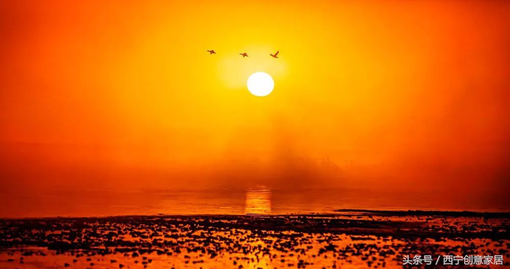 青海为什么频繁发生地震,青海人为什么长得好看