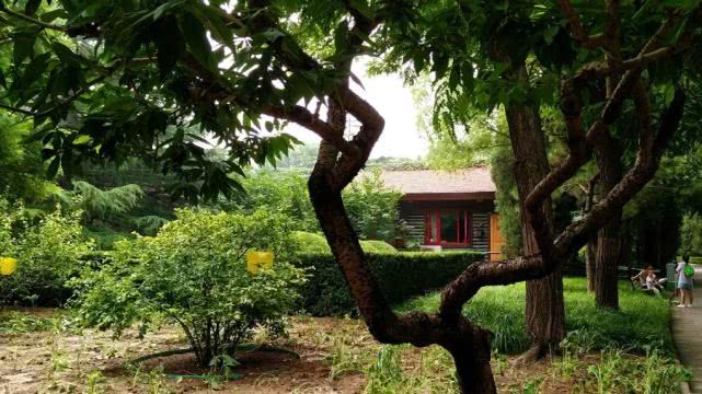 北京哪些公园对18岁以下免费,北京60岁以上老人免费公园明细