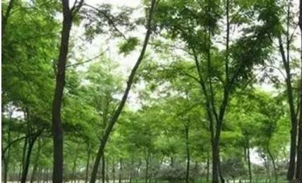 北京哪些公园对18岁以下免费,北京60岁以上老人免费公园明细