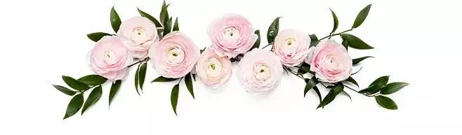 免费观看！8月4日，中国国家交响乐团“爱在中国”公益音乐会要来了！