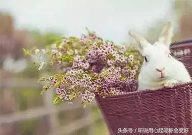 什么是情人什么是知己什么是妻子,什么叫做是妻子又是红颜知己