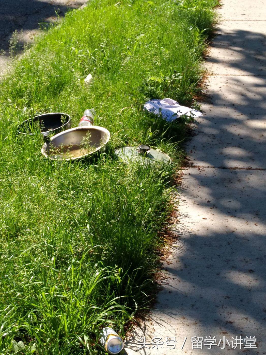 在加拿大长期生活是什么体验,在加拿大生活快乐吗