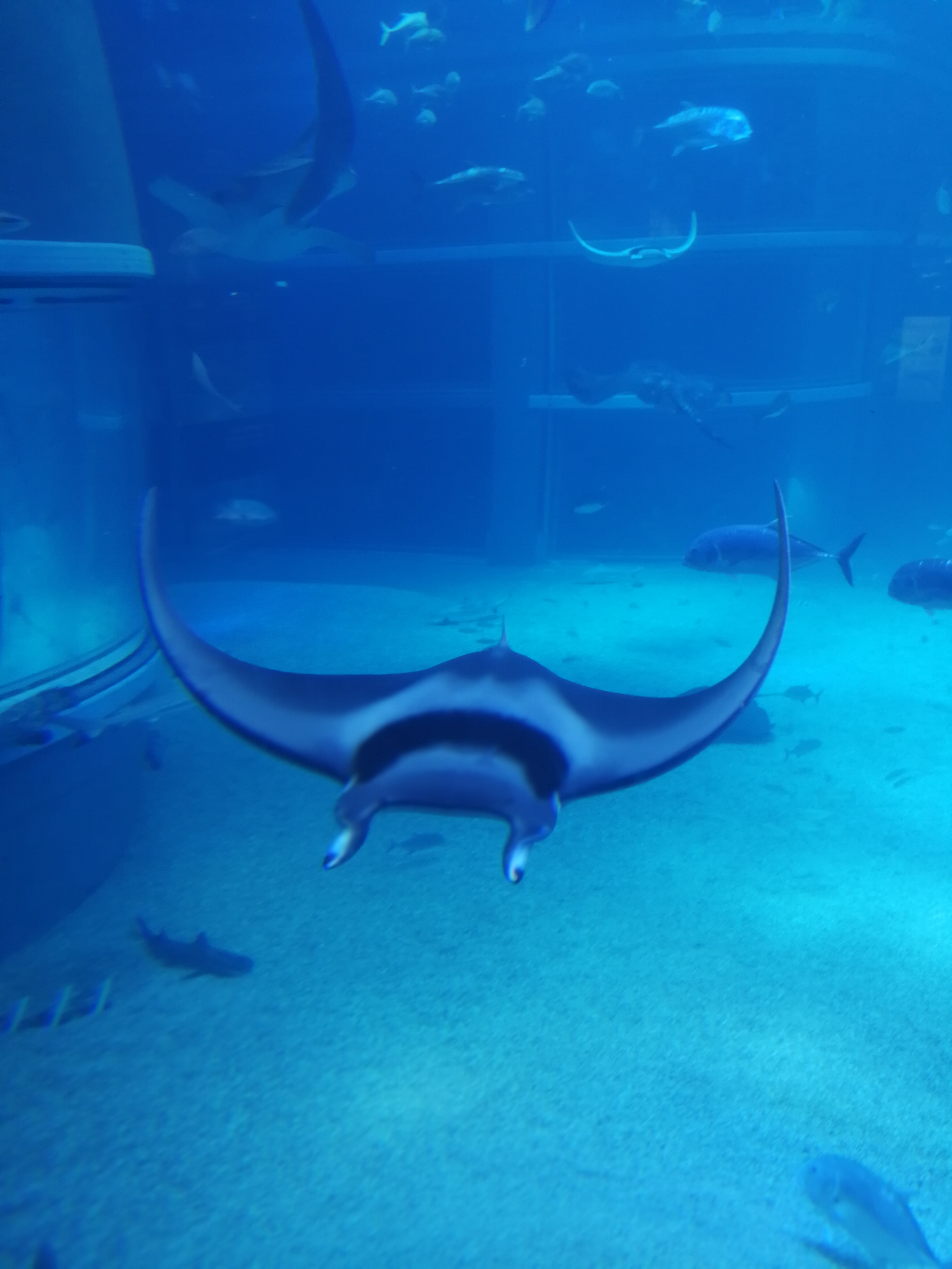 日本乐高亲子游,日本乐高亲子游玩中心在哪