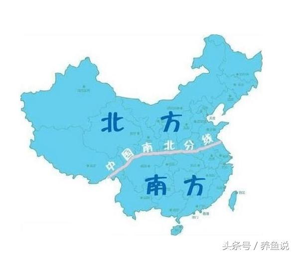 哪些观赏鱼适合混着养,家里养观赏鱼用什么鱼缸