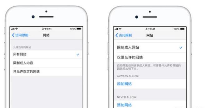 iphone的访问设置在哪里,iphone的访问限制怎么隐藏app