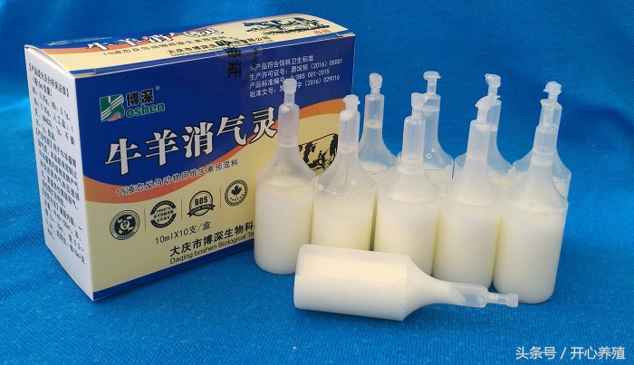 羔羊胀气用什么药,野外放牧羊胀气最快去除的方法