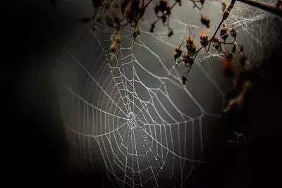 大学生兼职误入传销的案例,大学生找工作误入传销被骗