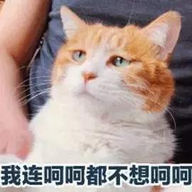 油痘肌夏季护肤思路,油痘肌肤误区