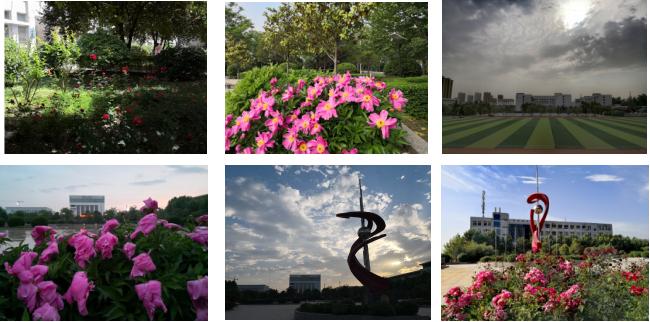 陕西服装工程学院最新消息,陕西服装工程学院在哪个区