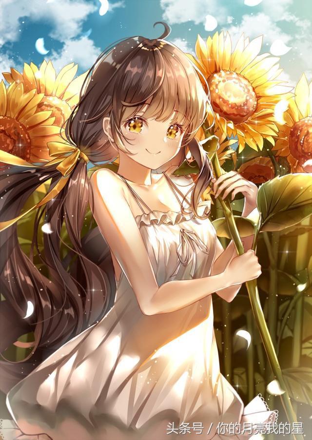 十二星座适合的职业领域,十二星座未来当什么职业