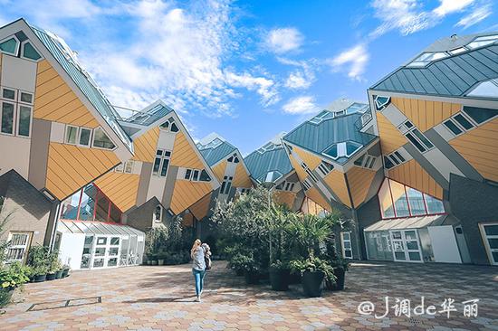 欧洲行荷兰鹿特丹,去荷兰看梵高