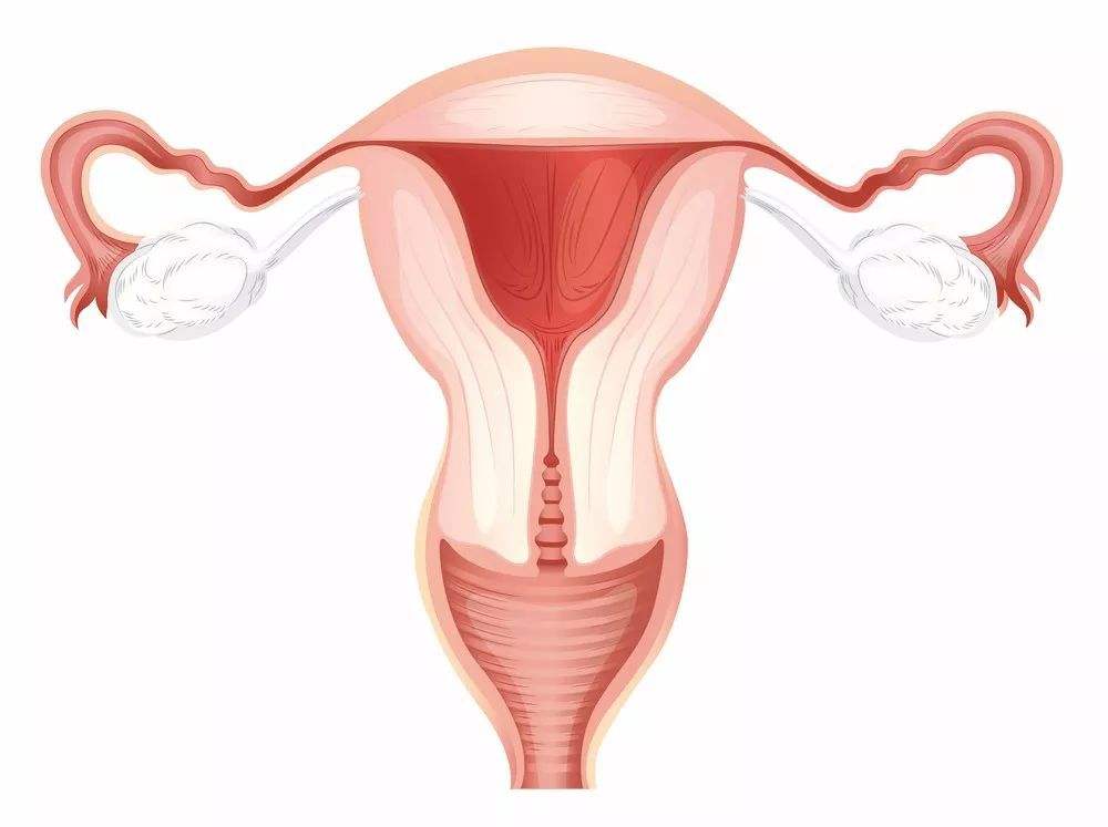 卵巢早衰怎么保养才能保持年轻,常见的检测卵巢功能的方法