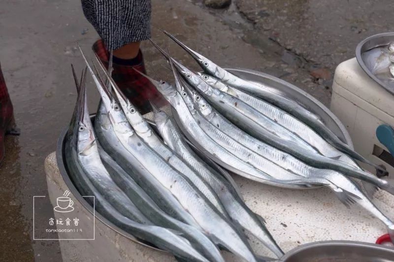 暑期去山东龙口,拍ins风网红大片,看没有游客蔚蓝大海!