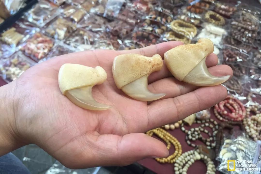 国家地理的真相,国家地理讲虎的纪录片