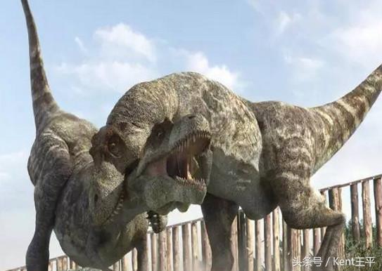霸王龙的天敌食肉恐龙,巨型食肉牛龙对战霸王龙