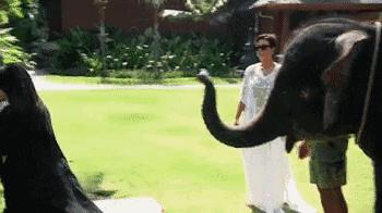 卡戴珊家族中的金发女孩儿,卡戴珊家族的恋爱史