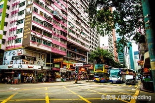 为何现在去香港旅游的人很少,为什么很少人去香港玩