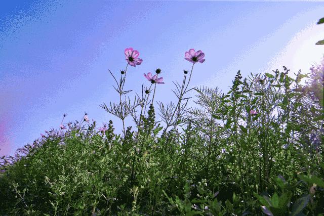 上海利好最新消息,上海基建最新利好